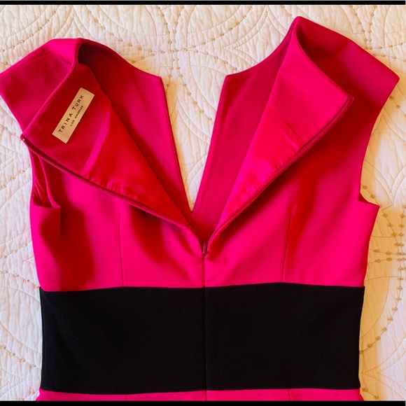 Gorgeous Trina Turk Slim Fitting Career Dress - Picture 9 of 14